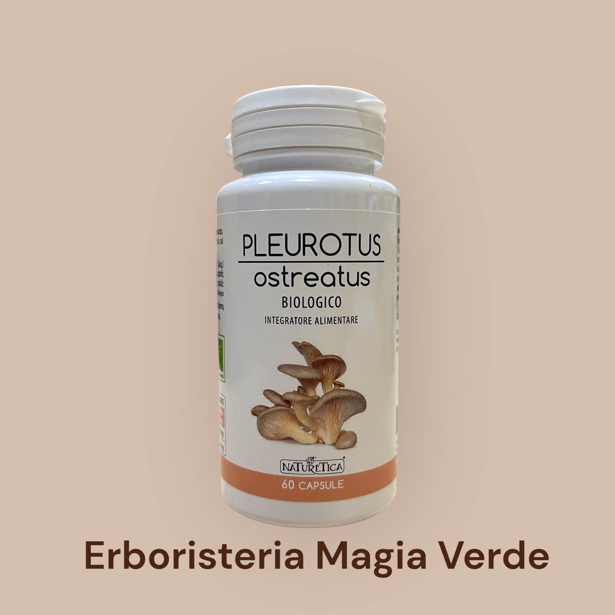 Pleurotus Ostreatus Micoterapia Funghi Medicinali Bio