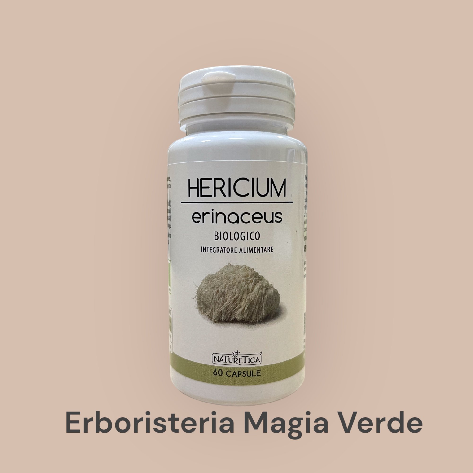 Hericium Erinaceus Micoterapia Funghi Medicinali Bio