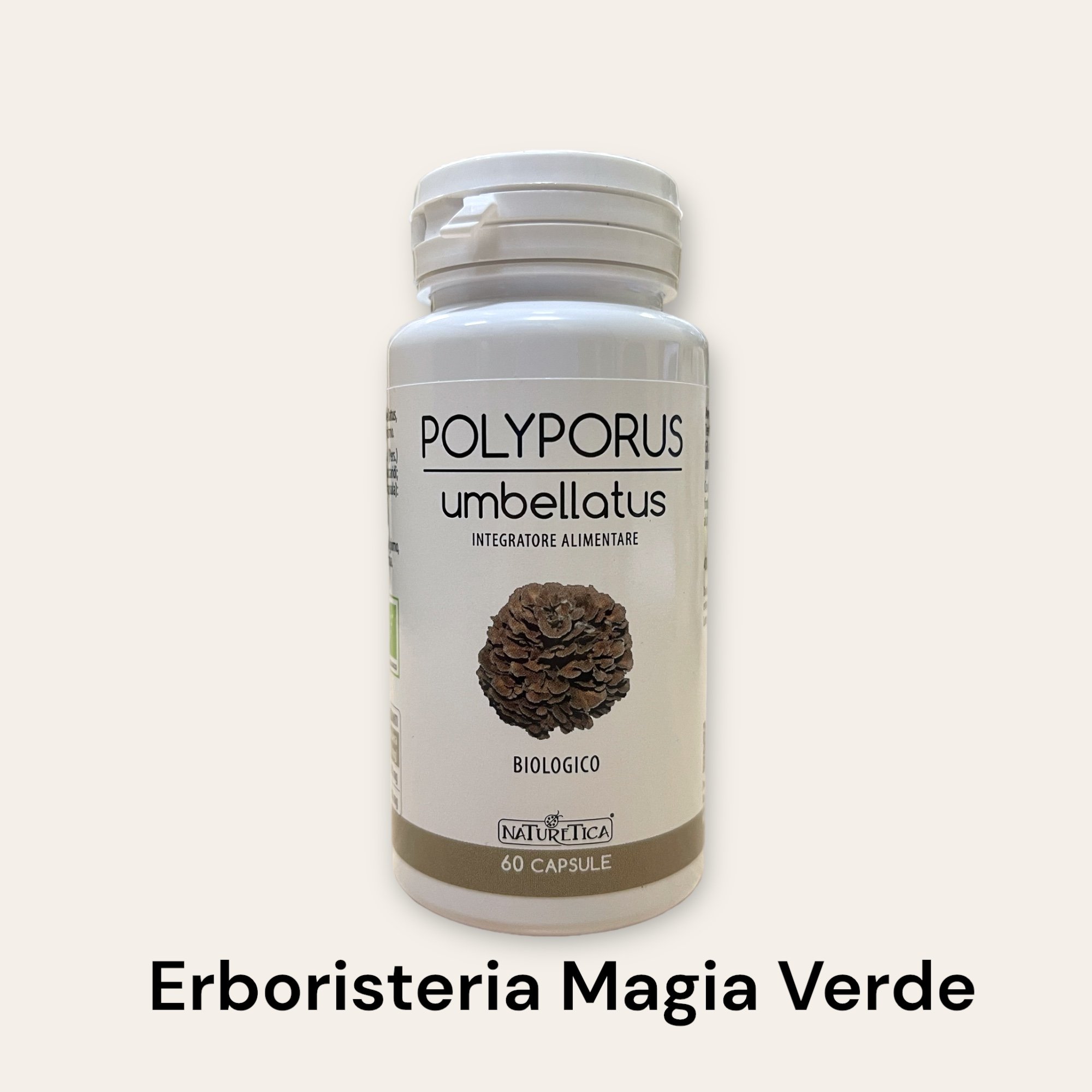 Polyporus Umbellatus Micoterapia Funghi Medicinali Bio