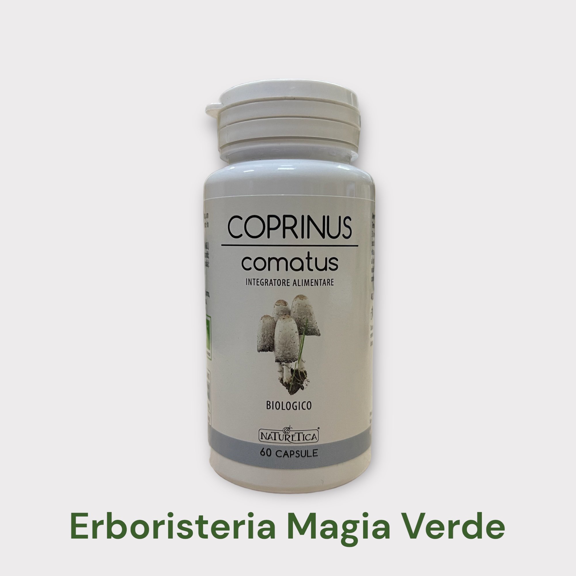 Coprinus Comatus Micoterapia Funghi Medicinali Bio
