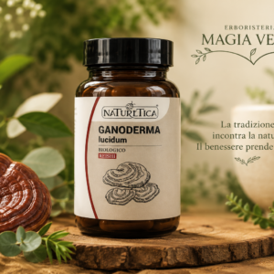 Ganoderma lucidum Reishi biologico Naturetica micoterapia Erboristeria Magia Verde Guastalla