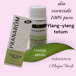 Olio essenziale Ylang-ylang totum Bio