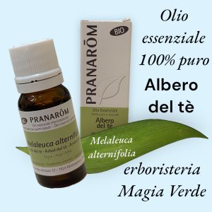 Olio essenziale Albero del tè