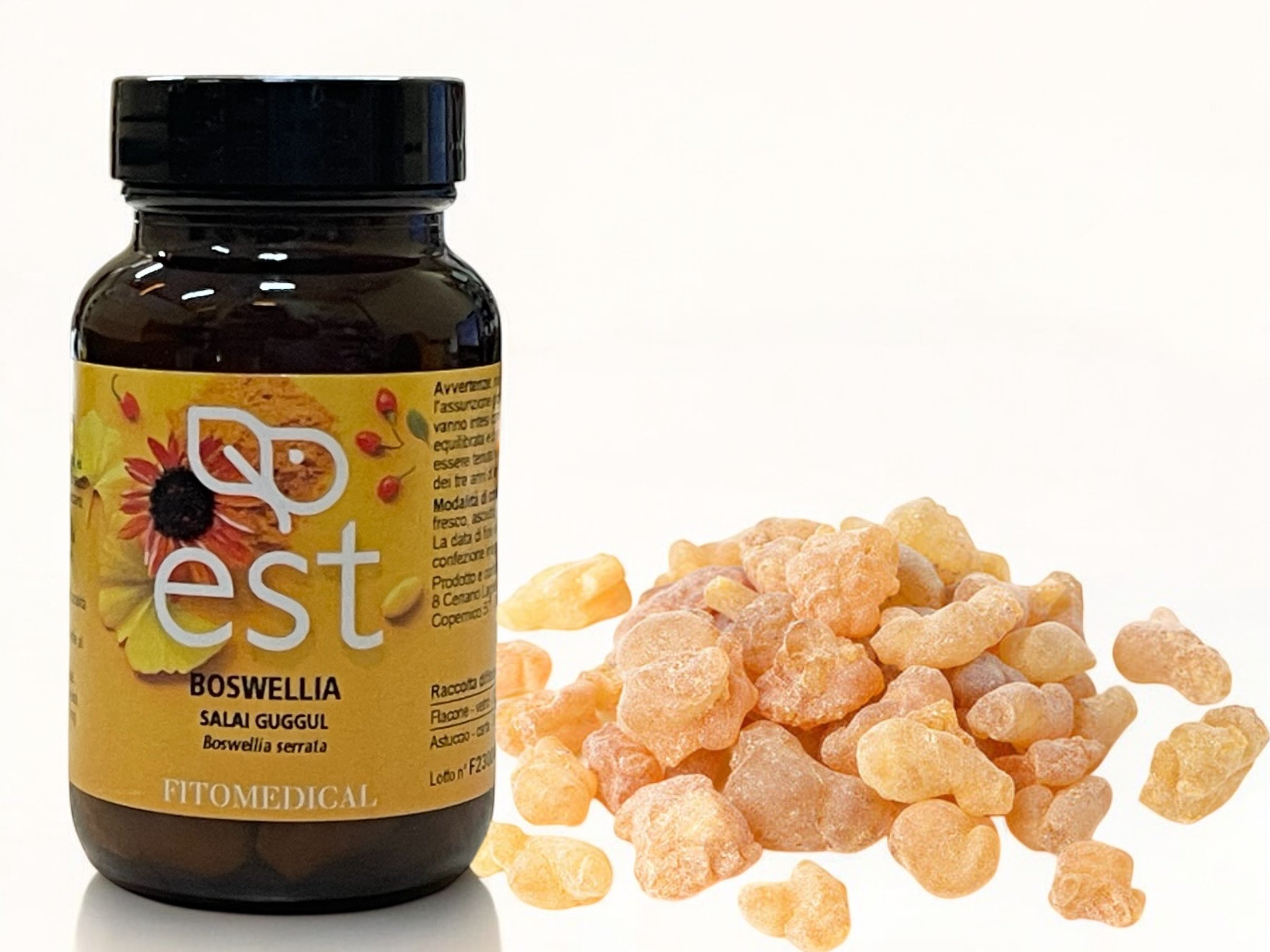 Boswellia Salai Guggul Boswellia serrata