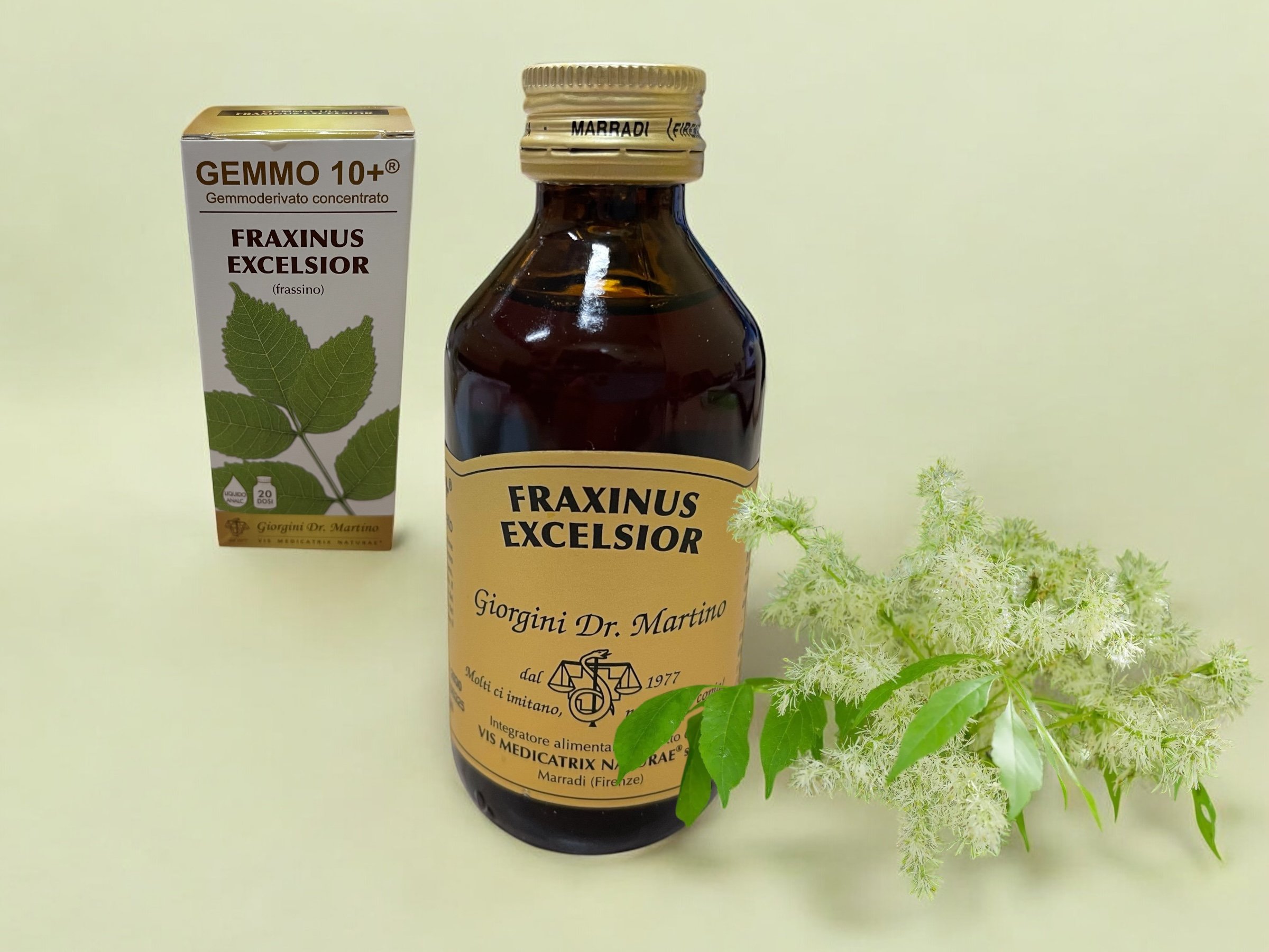 Gemmoderivato Fraxinus Excelsior